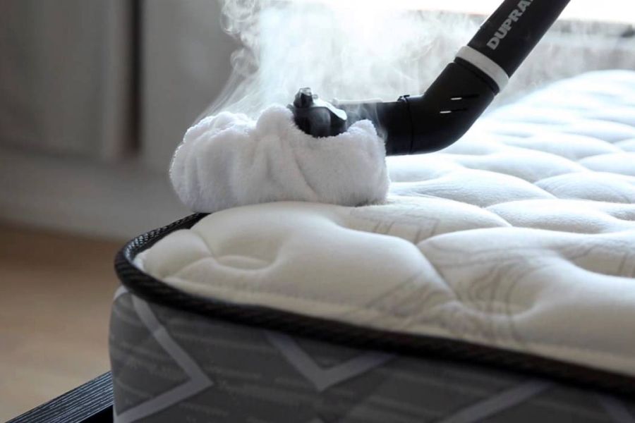 Premium Disinfection and Steam Car Wash Services i